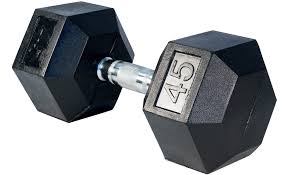 Rubber Hex Dumbbell 45lbs