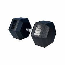 Rubber Hex Dumbbell 110lbs