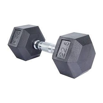 Rubber Hex Dumbbell 22.5 lbs